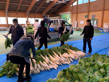 新鮮な野菜
