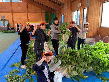 新鮮な野菜2