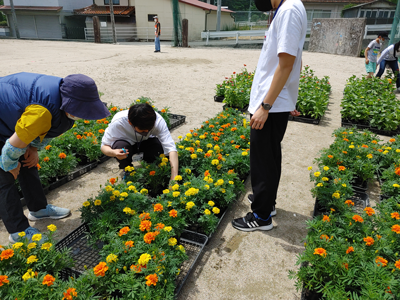 花の説明をしながら販売を行っています