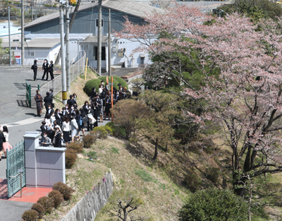 入学式後の記念写真　桜も綺麗に咲いています